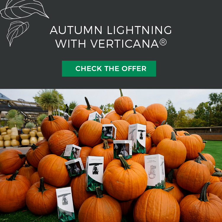 Autumn lighting with VERTICANA®