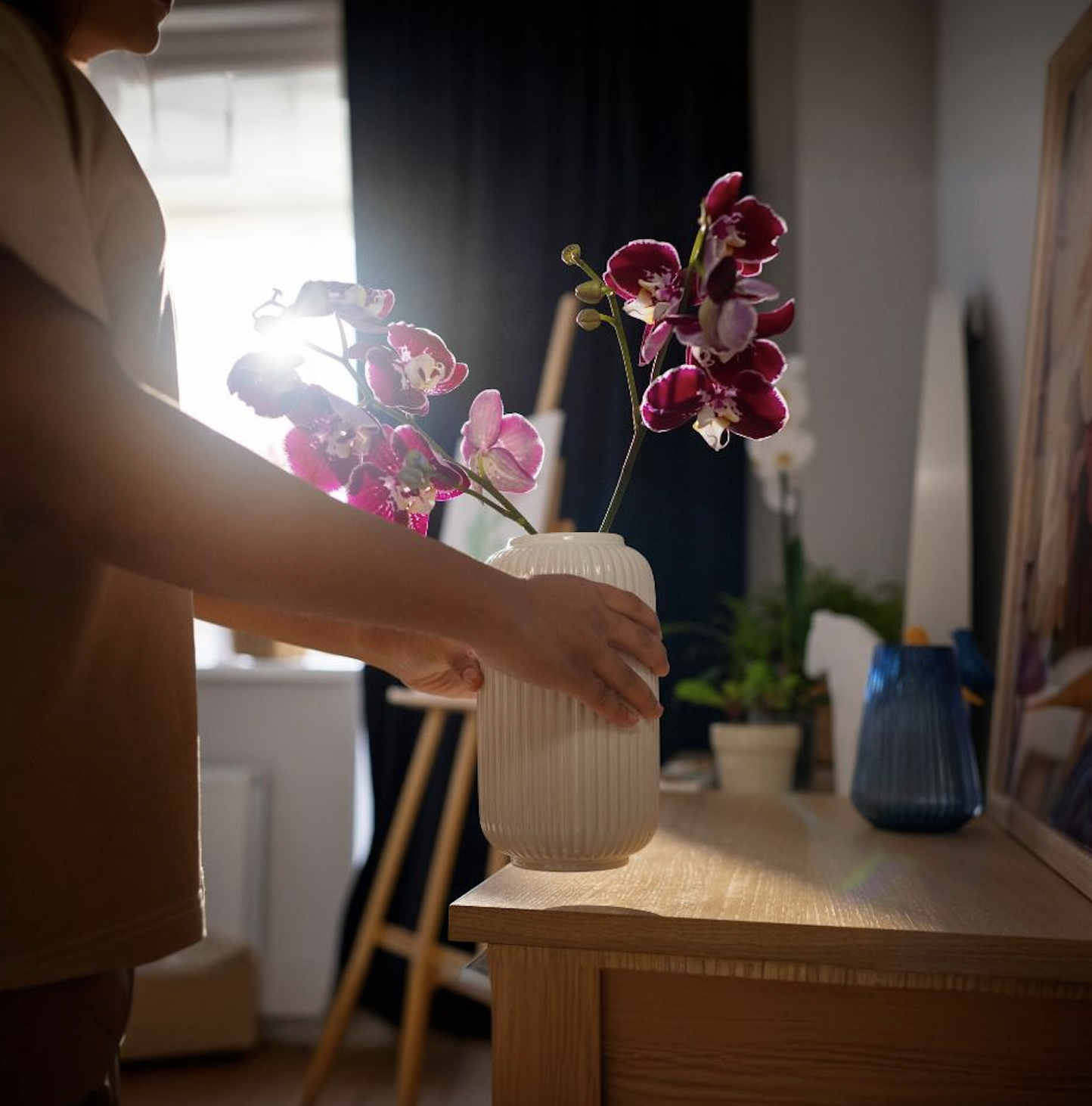 Jakie są oznaki braku światła u storczyków? Sprawdź i dowiedz się, jak skutecznie doświetlać orchidee lampami LED.