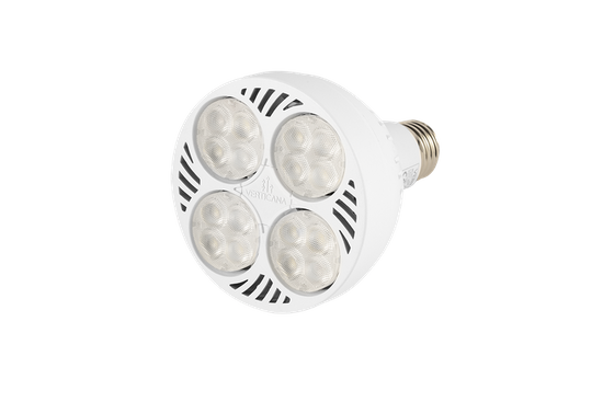 LED GROW BULB | WHITE | lens 80 ° | 35W