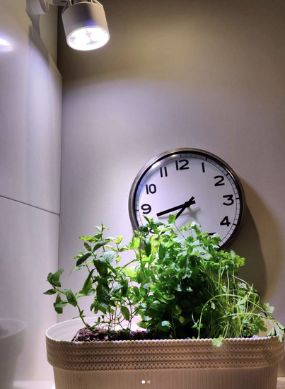 LED GROW BULB | BLACK | lens 25 ° | 35W