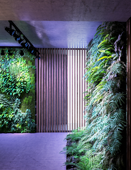 VERTICANA® SET 4x 35W 45° LED BULB + 2M RAIL FOR VERTICAL GARDENS & GREEN WALLS