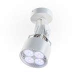 Surface mounted luminaire for VERTICANA® bulbs WHITE
