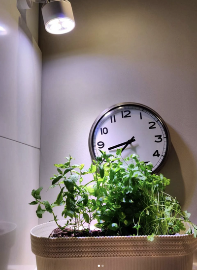 LED GROW BULB | WHITE | lens 80 ° | 35W