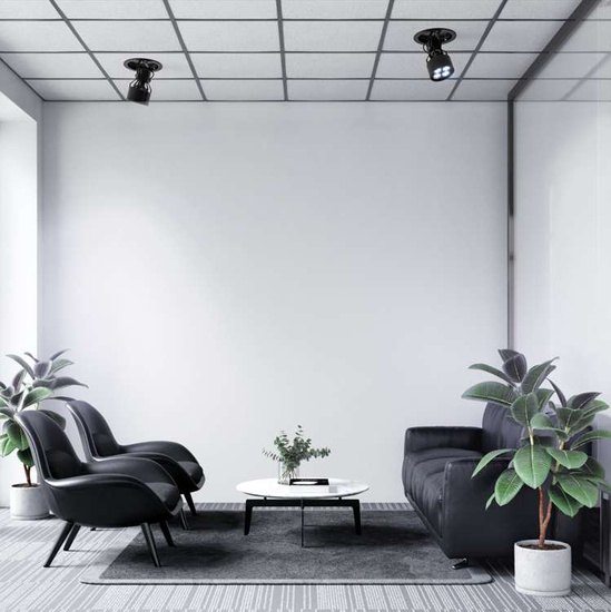 VERTICANA® Ceiling Holder | CZARNY | Oprawa na żarówkę do sufitu podwieszanego