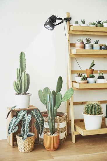 VERTICANA® Clip Holder | BLACK | Clip mount with 2m cable